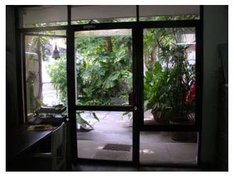 Plants: image 1 0f 4 thumb