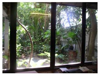 Plants: image 3 0f 4 thumb